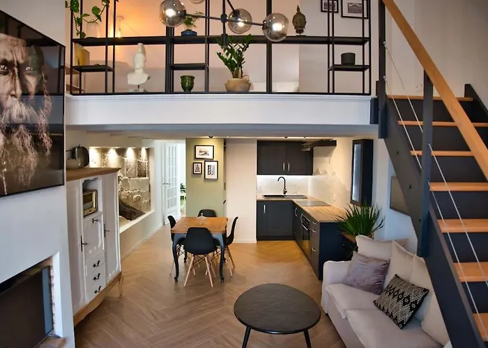 Appartement-Terrasse Centre Historique